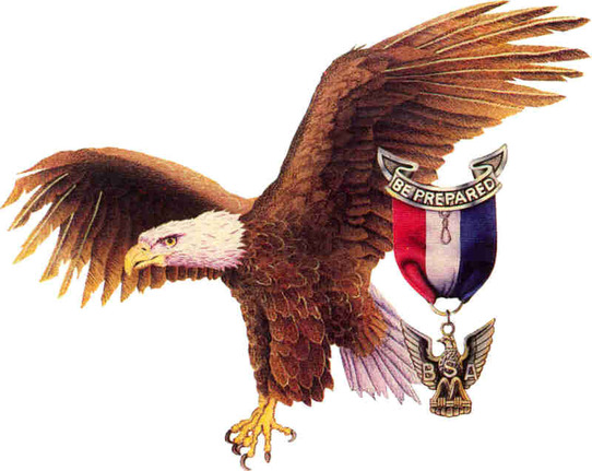 St. Teresa Church Eagle Scouts